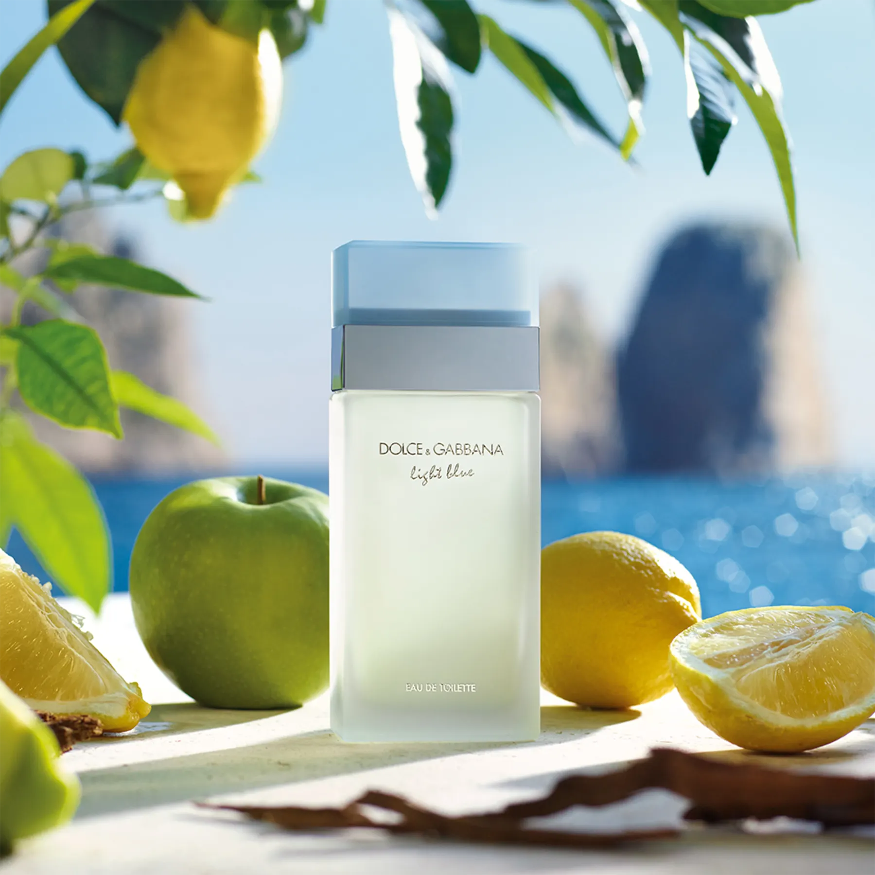 Frasco do perfume Light Blue Eau de Toilette da Dolce & Gabbana 100ml com elementos cítricos e frescos em composição clara e iluminada.